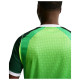 Nike Ανδρική κοντομάνικη μπλούζα Nigeria 2026 Stadium Home Dri-FIT Jersey